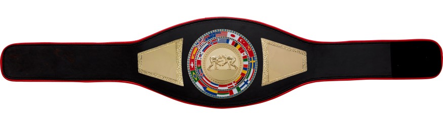 GRAPPLING CHAMPIONSHIP BELT-PROFLAG2/FLAG/G/GRAPG - AVAILABLE IN A VARIETY OF COLOURS GRAPPLING CHAMPIONSHIP BELT-PROFLAG2/FLAG/G/GRAPG - AVAILABLE IN A VARIETY OF COLOURS